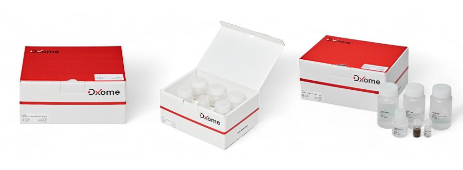  Magnetic Circulating DNA Maxi Reagent